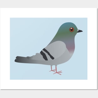Cute pigeon Posters and Art